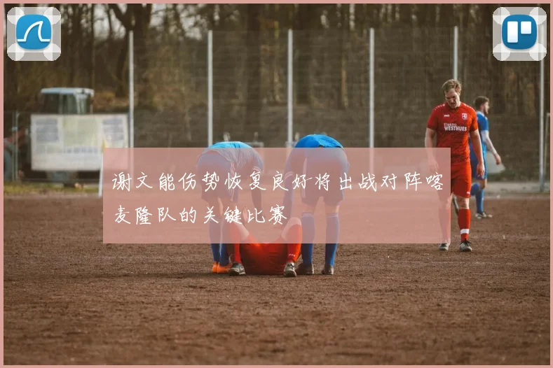 谢文能伤势恢复良好将出战对阵喀麦隆队的关键比赛